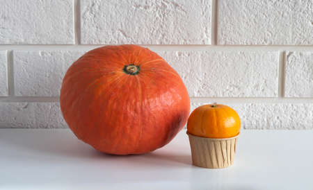 Tangerine, small apples and pumpkin isolated on a white background. Place for your text.の写真素材