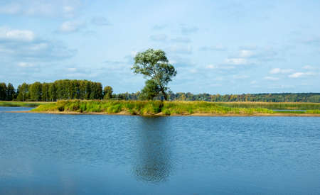 Landscape, a lonely tree on an island in the middle of the lake is reflected in the dark water.の写真素材