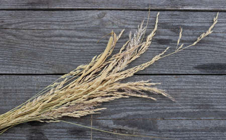 A bouquet of dry grass on an old wooden background. Monochrome minimalistic floral background with space to copy. Flat lay.の写真素材