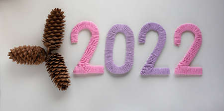 The numbers 2022, made of pink and lilac threads on a white background, lie next to three pine...