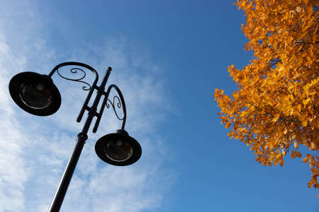 Lamppost and autumn leaves on a blue sky background.の写真素材