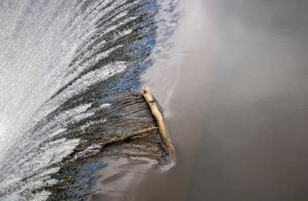 The bird is sitting on a log above a small waterfall on an artificial river dam.の写真素材