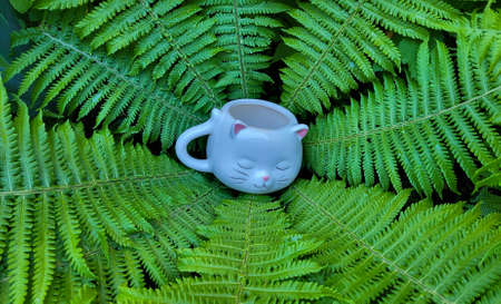 A cup in the shape of a cats head in the center of a green background of a shuttlecock fern.の写真素材
