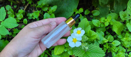 A hand and a bottle of serum with a pipette on a background of green vegetation and strawberry...
