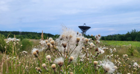 The silhouette of a satellite dish or radio antenna. Space observatory or air defense radar.の写真素材