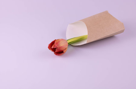 Grey container for French fries with a tulip on a pink backgroundの写真素材