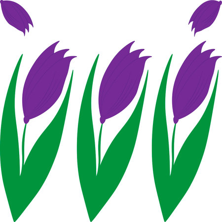 Vector illustration of primrose wildflowers purple Dream grassのイラスト素材