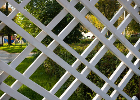 Beautiful white wooden trellis in a green spring garden.の写真素材