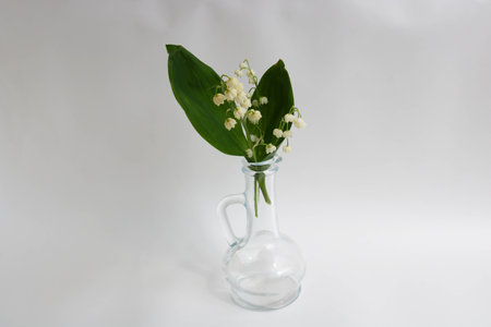 Spring lilies of the valley in a transparent bottle jug on a sunny windowsill.の写真素材