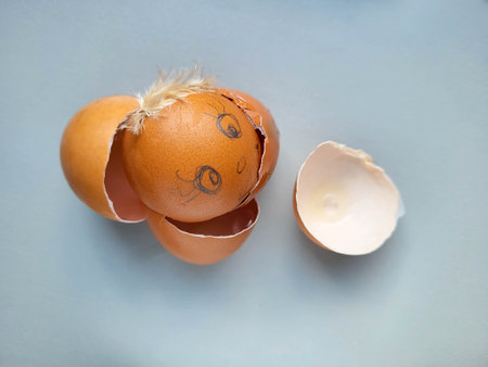 A brown shell of a broken egg with painted eyes.
