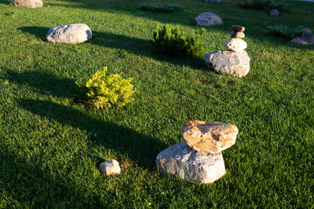 A green lawn with bushes and white stones stacked in piles in the early sunny morning.の写真素材