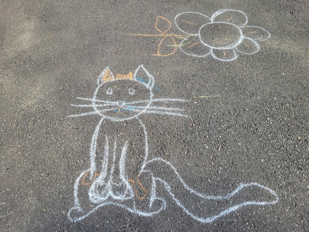 There is a cat painted in chalk on the asphalt. The concept of Children's Day.の写真素材