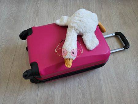 There is a white plush goose with sunglasses on a pink children's suitcase. A suitcase on wheels with a handle is lying on the floorの写真素材