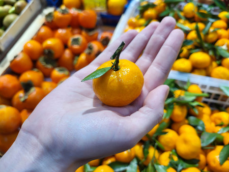 In the palm of your hand is a small tangerine with a leafの写真素材
