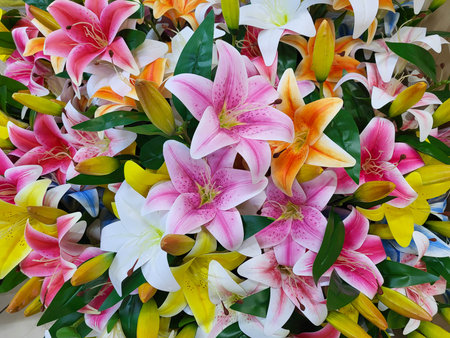 Pink decorative artificial lilies in close-up.の写真素材