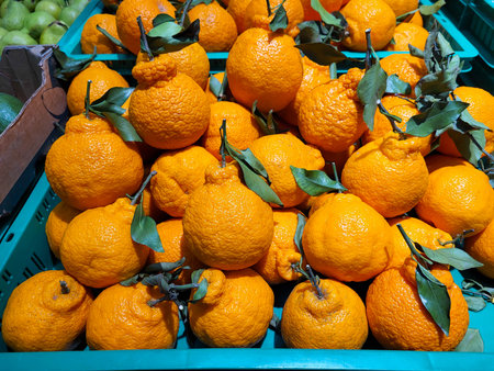 The concept of the harvest. The store's counter features mandarins, a hybrid obtained by crossing the Ponkan mandarin with the Kiemi targorの写真素材