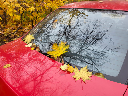 Autumn reflections in the rear window of a red car with yellow maple leavesの写真素材