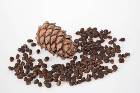 pine nuts