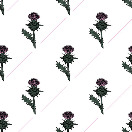 Seamless pattern with thistle. Herbal plant illustrationのイラスト素材