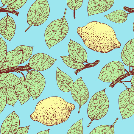 Seamless Floral Pattern. Lemon Fruits Background. Flowers, Leaves Lemons Vectorのイラスト素材