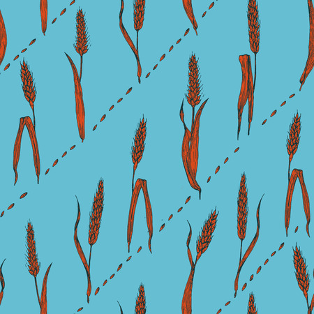 Seamless wheat pattern. Hand drawn. Vector illustration Vintageのイラスト素材