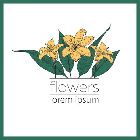 Hand drawn vector flower illustration. Vintage botany logo with lily flowers.のイラスト素材