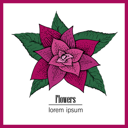 Hand drawn vector flower illustration. Vintage botany logo.のイラスト素材