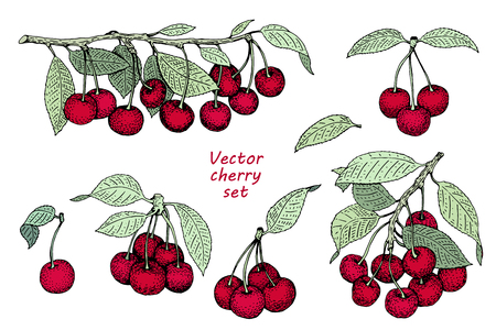 vector cherry logo template. Can be use for background, design, invitation, banner, cover. Retro hand drawn illustrationsのイラスト素材