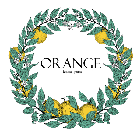 Round wreath of leaves and orange fruit. Vector hand drawn frame sketch style. Vintage illustration. Logo template. Retro bannerのイラスト素材