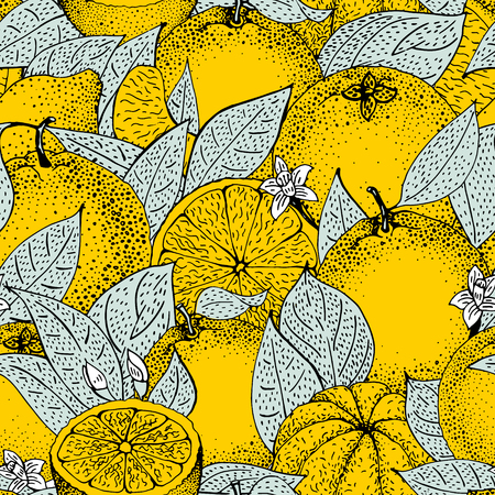 Seamless pattern of isolated hand drawn oranges and slices in sketch style. Vector illustrationのイラスト素材