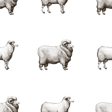 Vector seamless pattern with graphical sheep silhouettes, hand drawn vintage illustration.のイラスト素材