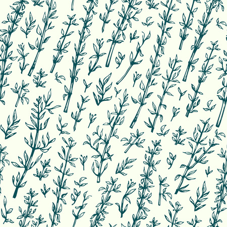 Thyme. seamless pattern for design menu, packaging and recipes.のイラスト素材