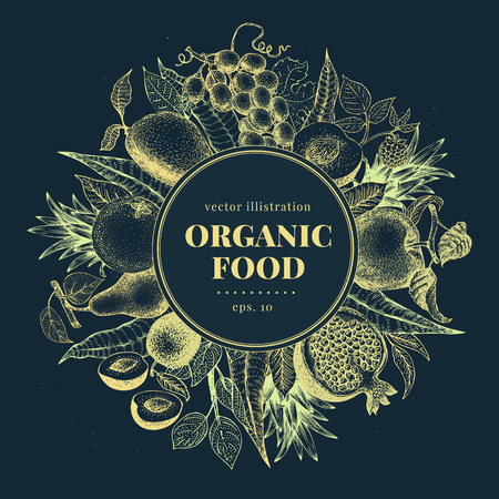 Fruits hand drawn vector frame. Banner template. Vintage Fruit engraved style background. Can be use for menu, label, packaging, farm market products.のイラスト素材