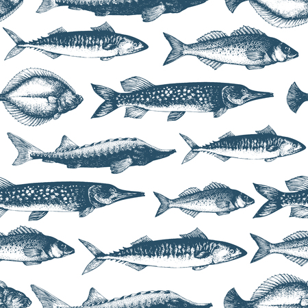 Fish vector seamless pattern for restaurants, emblem, vector image. Retro illustrationのイラスト素材