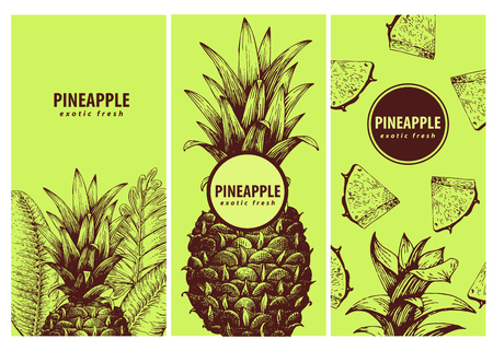 Set of three exotic labels with pineapple. Great for organic food, medicine, perfume design, cooking or gardening. Vintage hand drawn illustrations.のイラスト素材