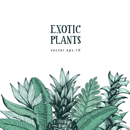Hand brawn botanical background with hand drawn exotic plants and pineapple. Vector banner template. Retro illustration.のイラスト素材