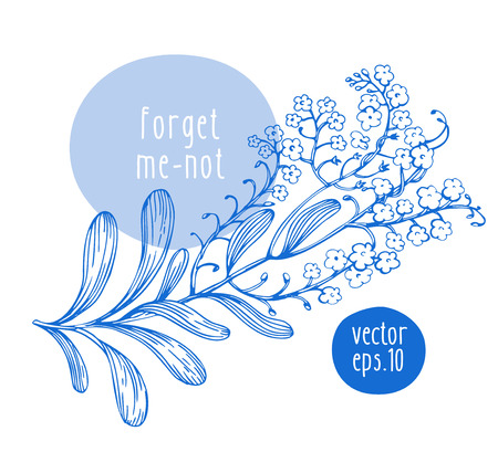 Hand drawn retro forgot-me-not. Vector blooming flower. Botanical illustration. Can be use for wedding invitations and greeting cards, page decoration, packaging.のイラスト素材
