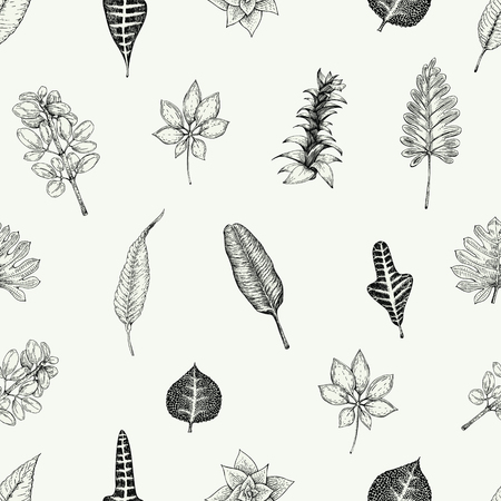 Seamless batanical floral pattern in vintage style. Leaves and plants. Vintage illustration. Vector design elements. Floral background.のイラスト素材
