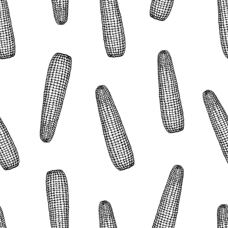 Vector seamless pattern with corn on the cob. Retro engraved illustration. Botanical hand drawn background.のイラスト素材