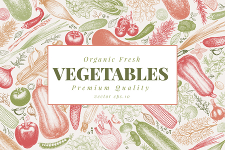 Vegetables hand drawn vector illustration. Vintage engraved style banner. Can be use for menu, label, packaging, farm market products.のイラスト素材