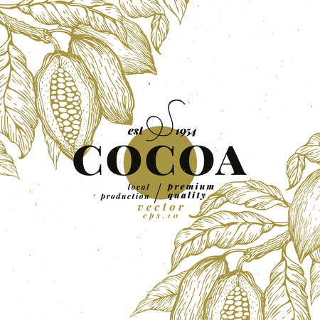 Cocoa bean tree design template. Chocolate cocoa beans logo. Vector hand drawn illustration. Vintage style background.のイラスト素材