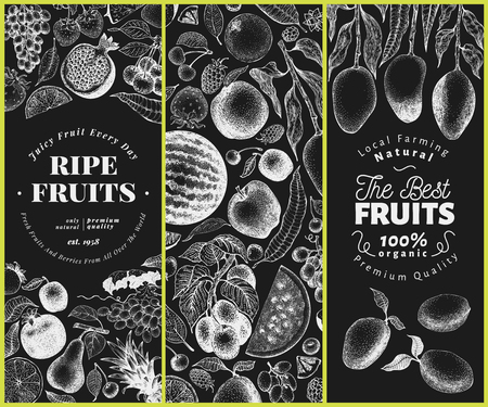 Fruits and berries hand drawn vector illustration on chalk board. Retro engraved style banner set. Can be use for menu, label, packaging, farm market products.のイラスト素材