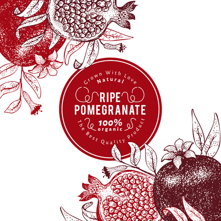 Pomegranate fruit design template. Hand drawn vector fruit illustration. Engraved style retro botanical background.のイラスト素材