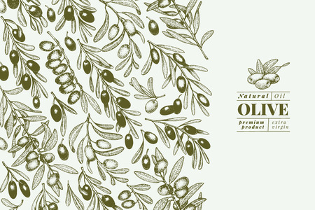 Olive tree banner template. Vector vintage illustration. Hand drawn engraved style background. Design for olive oil, olive packaging, natural cosmetics, health care products. Retro style image.のイラスト素材