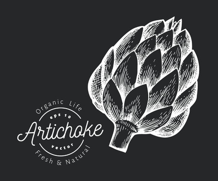 Artichoke vegetable illustration. Hand drawn vector food illustration on chalk board. Engraved style vegetable. Vintage botanical picture.のイラスト素材