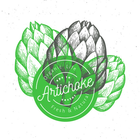 Three artichokes. Hand drawn vector food illustration. Engraved style vegetable. Vintage botanical picture.のイラスト素材