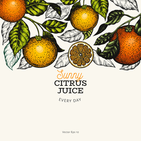 Citrus design template. Hand drawn vector color fruit illustration on dark background. Engraved style banner. Retro citrus frame.のイラスト素材