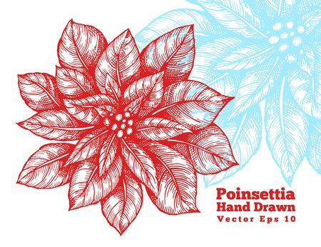 Poinsettia hand drawn red flowers vector illustration. Retro styleのイラスト素材
