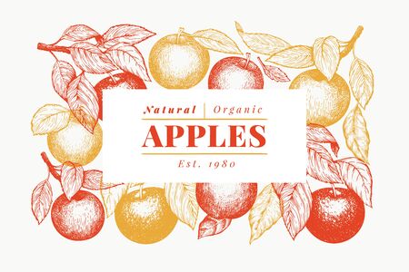 Apple branch design template. Hand drawn vector garden fruit illustration. Engraved style fruit frame. Vintage botanical banner.のイラスト素材