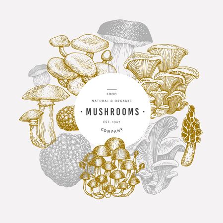 Mushroom design template. Hand drawn vector food illustration. Engraved style. Retro mushrooms different kinds background.の写真素材
